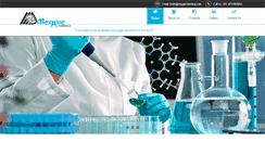Desktop Screenshot of megpiechemical.com
